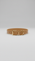 Leather Collar With Brass Buckle